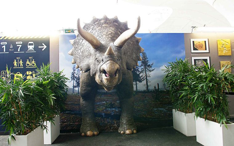 METROPOLE Dino