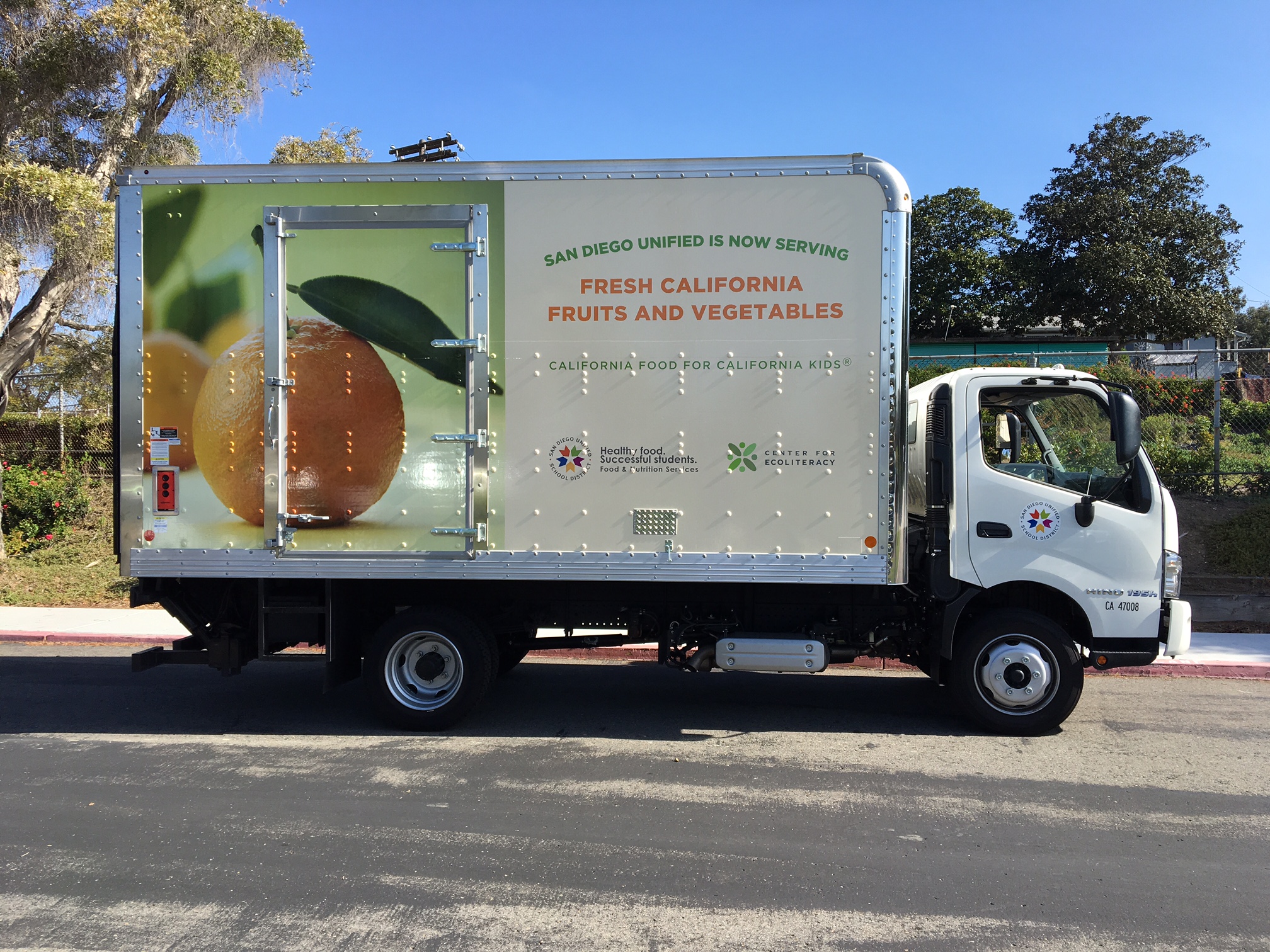 Vehicle Wraps Education
